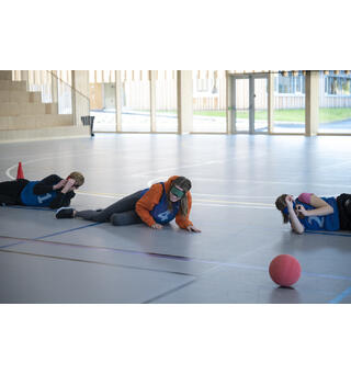 Goalball WV 25 cm med bjelle Lydball for blinde og svaksynte